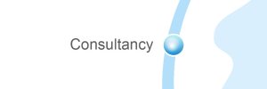 Consultancy